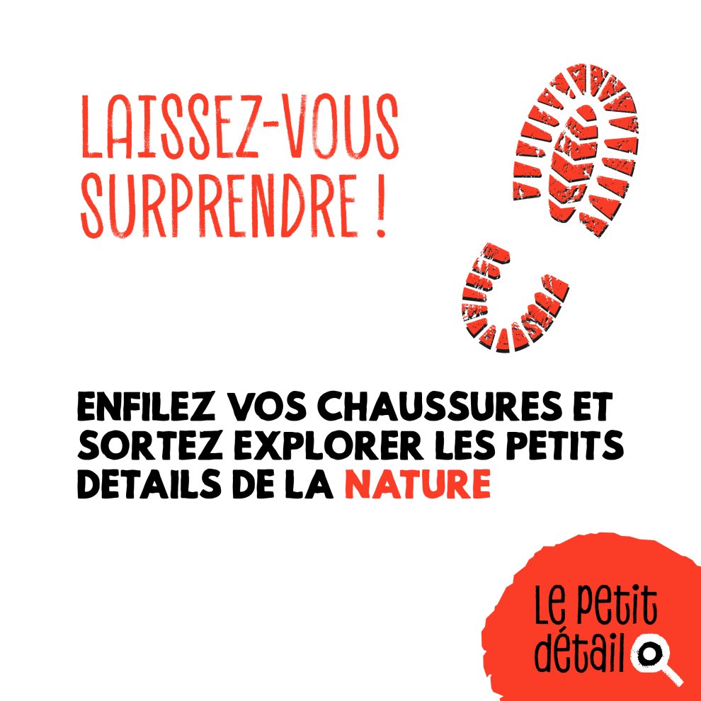 B&eacute;d&eacute;gar