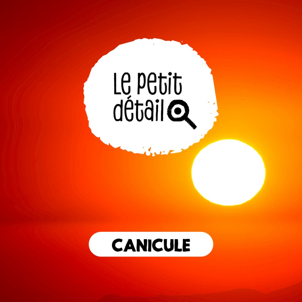 Canicule