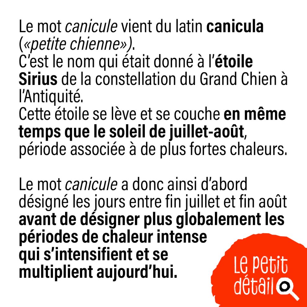 Canicule