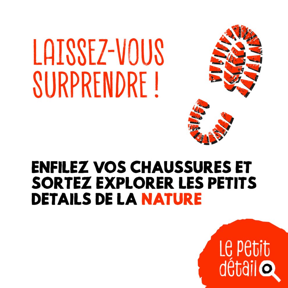 Canicule
