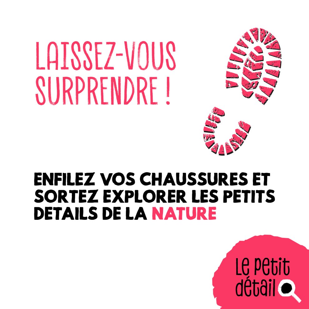 Cenelles de l'aub&eacute;pine 