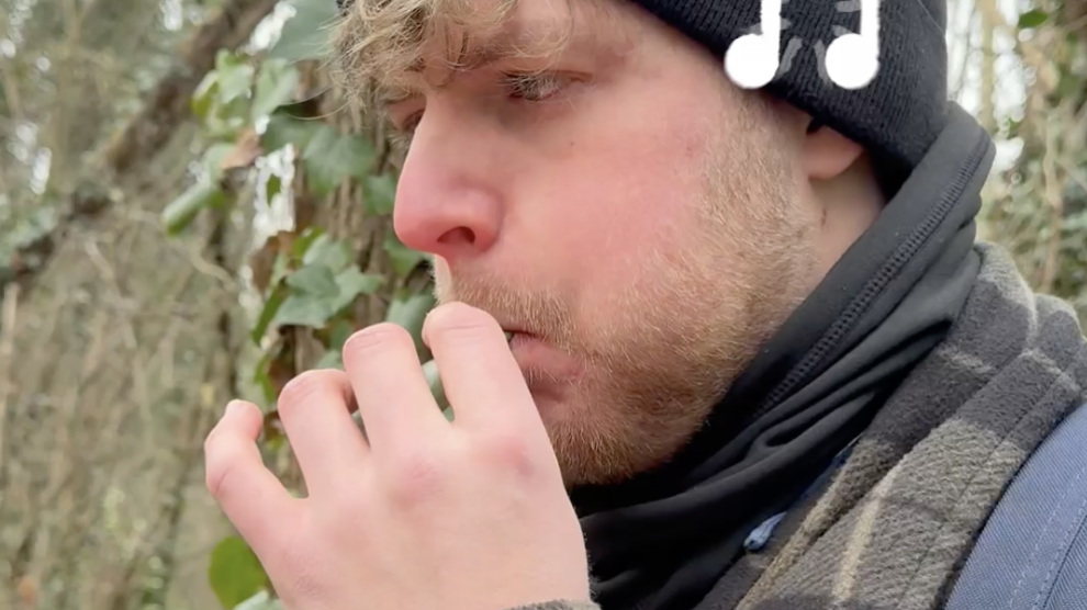 Faire de la musique avec une feuille de lierre 