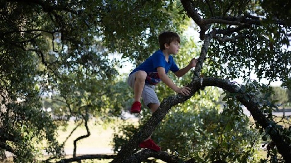 Grimper aux arbres