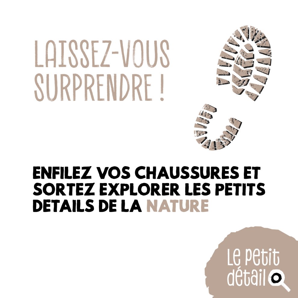 L'écorce